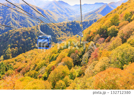 ドラゴンドラからの苗場高原 秋 ドラゴンドラからの苗場高原 秋 132712380