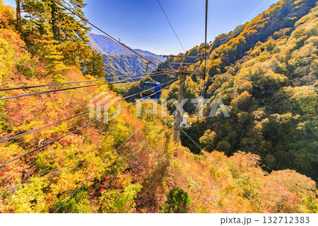 ドラゴンドラからの苗場高原 秋 132712383