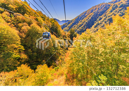 ドラゴンドラからの苗場高原 秋 132712386