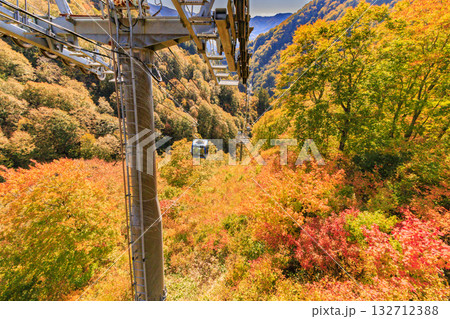 ドラゴンドラからの苗場高原 秋 132712388