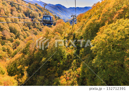 ドラゴンドラからの苗場高原 秋 ドラゴンドラからの苗場高原 秋 132712391