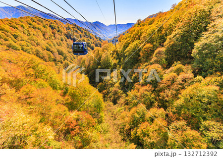 ドラゴンドラからの苗場高原 秋 ドラゴンドラからの苗場高原 秋 132712392