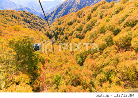 ドラゴンドラからの苗場高原 秋 ドラゴンドラからの苗場高原 秋 132712394
