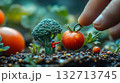 Person is holding a tomato in a garden 132713745