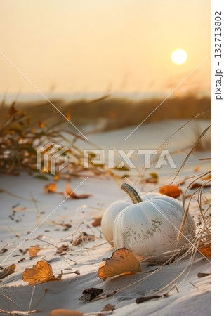 White pumpkin is sitting on the sand next to some leaves White pumpkin is sitting on the sand next to some leaves 132713802