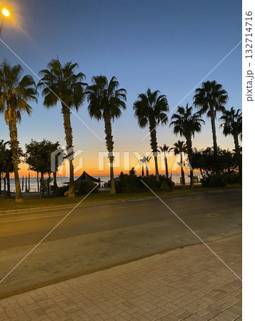 Upward palm view. High quality photo 132714716