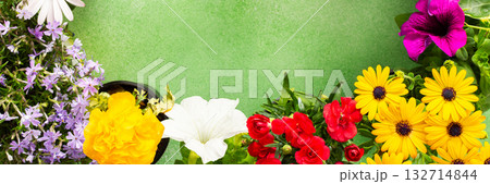A beautiful collection of spring flowers decorates a balcony or terrace, creating a lively and cheerful atmosphere. Various colors and types of flowers bring joy to the space., banner A beautiful collection of spring flowers decorates a balcony or terrace, creating a lively and cheerful atmosphere. Various colors and types of flowers bring joy to the space., banner 132714844