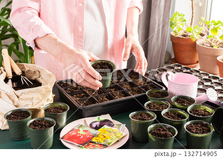A man is focused on planting tomato seeds in small containers at home. The indoor setting features gardening tools, pots, and seed packets, signaling the start of spring gardening activities A man is focused on planting tomato seeds in small containers at home. The indoor setting features gardening tools, pots, and seed packets, signaling the start of spring gardening activities 132714905