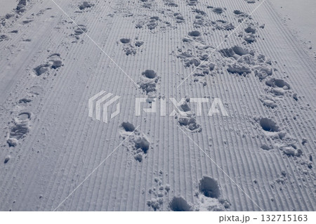 Footprints of dreams path. High quality photo 132715163