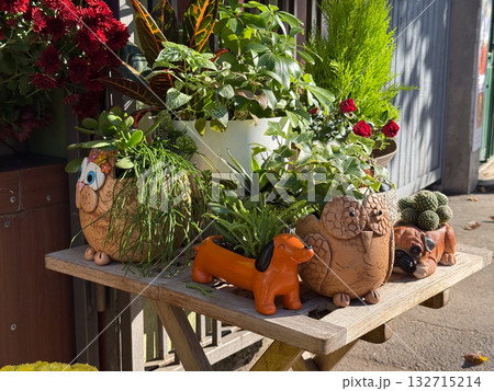 Cute animal-shaped planters with green houseplants on wooden table. Playful design, nature connection and cheerful urban decor. 132715214