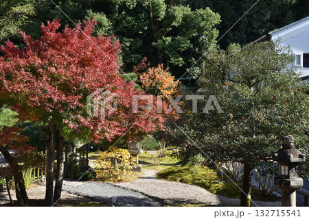 金戒光明寺　紫雲の庭　秋季(京都市左京区) 132715541