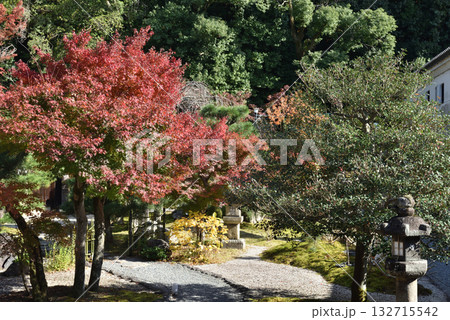 金戒光明寺 紫雲の庭 秋季(京都市左京区) 金戒光明寺 紫雲の庭 秋季(京都市左京区) 132715542
