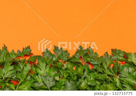 Green parsley foliage along bottom edge on orange surface forming modern flat lay copy space Green parsley foliage along bottom edge on orange surface forming modern flat lay copy space 132715775