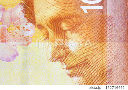 Leah Goldberg a closeup portrait from Israeli money 132716661