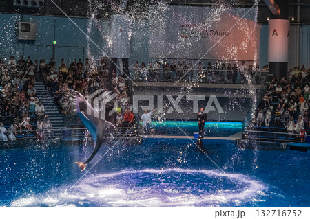 品川イルカショー（大ジャンプ） 132716752