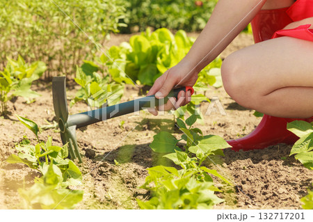 woman with gardening tool working in garden woman with gardening tool working in garden 132717201