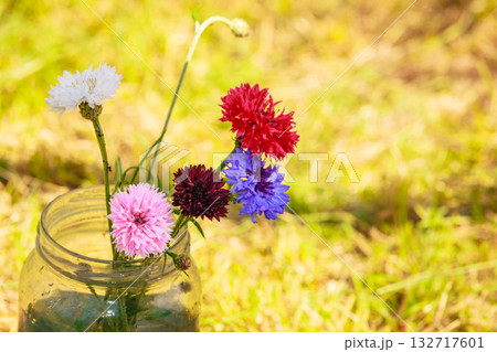 Picked cornflowers in glass outdoor 132717601
