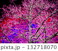 Glowing tree 132718070