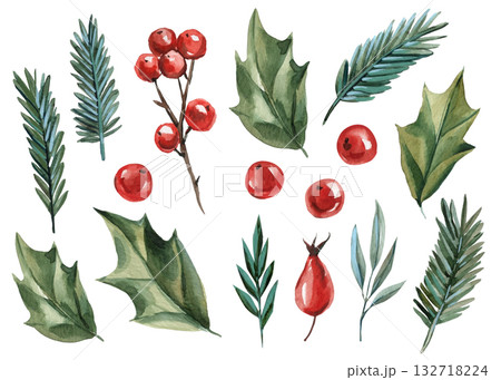 Watercolor holly leaves pine branches and red berries botanical winter illustration for festive natural decor and seasonal design Watercolor holly leaves pine branches and red berries botanical winter illustration for festive natural decor and seasonal design 132718224