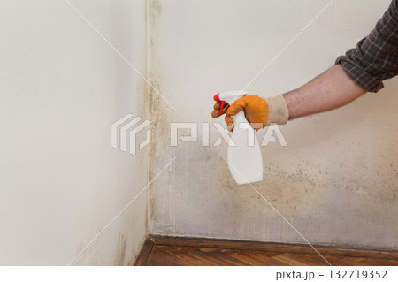 Worker cleaning mold from wall 132719352