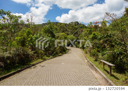 trail to Pedra da Macela peak, in Serra do Mar mountain range, on border between states of Sao Paulo and Rio de Janeiro, Brazil trail to Pedra da Macela peak, in Serra do Mar mountain range, on border between states of Sao Paulo and Rio de Janeiro, Brazil 132720594