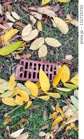 Top-down view of a broken red brick drainage piece surrounded by colorful autumn leaves on grass Top-down view of a broken red brick drainage piece surrounded by colorful autumn leaves on grass 132720782