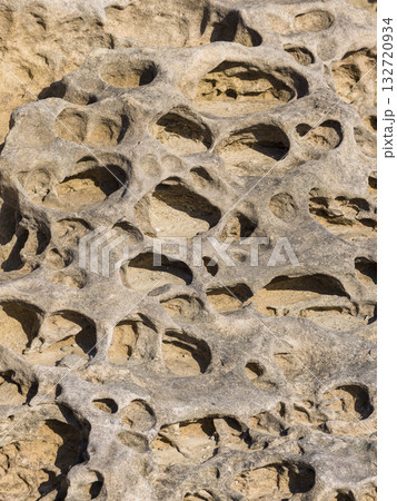 台湾・野柳地質公園の岩石に見られるタフォニ / Yehliu Geopark, Taiwan 132720934