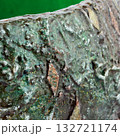Abstract media mix background 132721174
