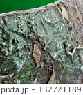 Abstract media mix background 132721189