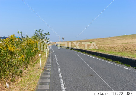 埼玉県吉川市江戸川沿いの道2025年10月 132721388