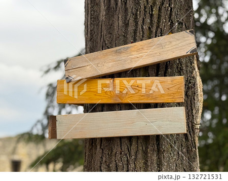 Wooden planks nailed to tree trunk. Rustic navigation symbol, handmade craft, and nature-inspired design. Copy space Wooden planks nailed to tree trunk. Rustic navigation symbol, handmade craft, and nature-inspired design. Copy space 132721531