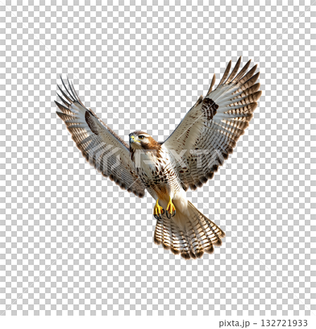 Hawk In Flight With Outstretched Wings. Symbol Of Freedom And Precision In Nature. Isolated On Transparent Background 132721933