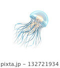 Translucent Jellyfish Illustration. Marine Life And Oceanic Beauty. Isolated On Transparent Background Translucent Jellyfish Illustration. Marine Life And Oceanic Beauty. Isolated On Transparent Background 132721934