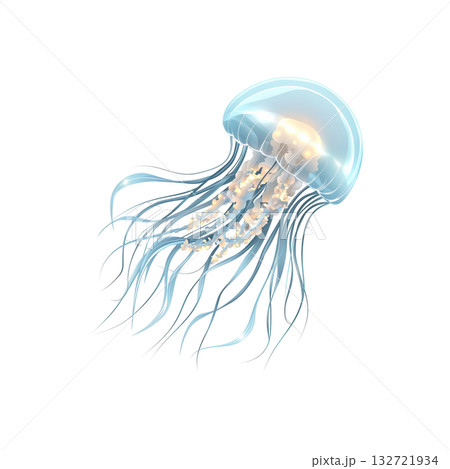 Translucent Jellyfish Illustration. Marine Life And Oceanic Beauty. Isolated On Transparent Background 132721934