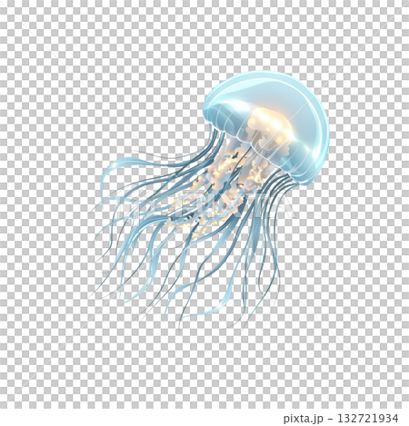 Translucent Jellyfish Illustration. Marine Life And Oceanic Beauty. Isolated On Transparent Background Translucent Jellyfish Illustration. Marine Life And Oceanic Beauty. Isolated On Transparent Background 132721934