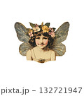 Vintage Fairy Illustration With Floral Crown. Whimsical And Enchanting Fantasy Art. Isolated On Transparent Background Vintage Fairy Illustration With Floral Crown. Whimsical And Enchanting Fantasy Art. Isolated On Transparent Background 132721947