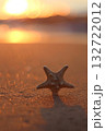 A lone starfish rests on a shimmering sandy beach during a golden sunset, with soft bokeh lights in the background. Concept of tranquil beauty and coastal serenity. 132722012