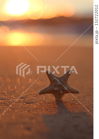 A lone starfish rests on a shimmering sandy beach during a golden sunset, with soft bokeh lights in the background. Concept of tranquil beauty and coastal serenity. 132722012