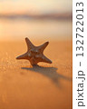 A single starfish is captured in close-up on a shimmering golden sand beach at sunset, casting a long shadow. Concept of oceanic life and the ephemeral beauty of twilight. 132722013