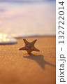 A starfish stands on a glistening sandy beach, with soft, colorful bokeh from the water's edge in the background. Concept of marine wonder and dawn's gentle touch. 132722014