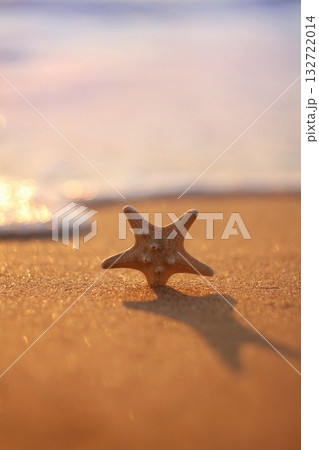 A starfish stands on a glistening sandy beach, with soft, colorful bokeh from the water's edge in the background. Concept of marine wonder and dawn's gentle touch. A starfish stands on a glistening sandy beach, with soft, colorful bokeh from the water's edge in the background. Concept of marine wonder and dawn's gentle touch. 132722014