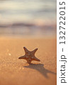 A delicate starfish sits on a shimmering golden sand beach with the gentle surf and soft bokeh of sunset in the background. Concept of seaside tranquility and natural treasures. 132722015