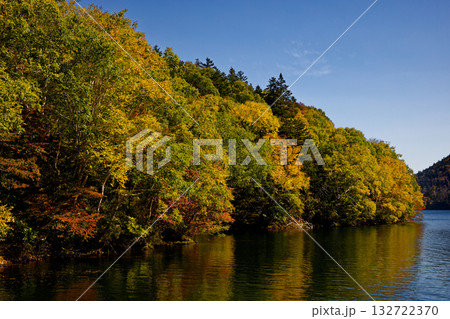 然別湖の紅葉 132722370