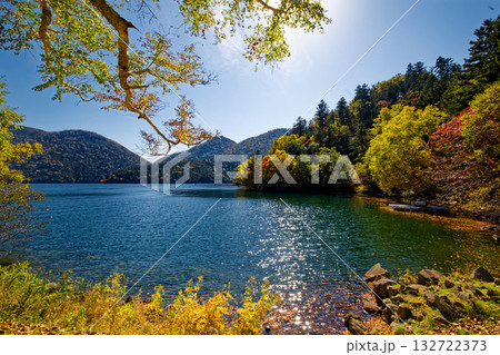 然別湖の紅葉 132722373