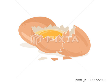 Eggs and shells on white background. stock illustration 132722998