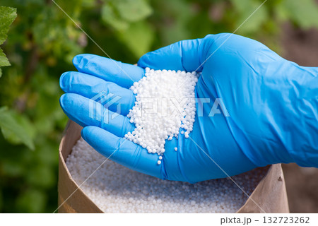 Fertilizer in hand against bushes in the garden. Fertilizing plants concept 132723262