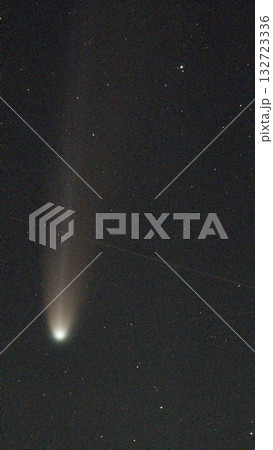 太陽に接近するレモン彗星 132723336