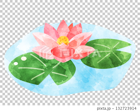 Watercolor illustration of pink water lilies Watercolor illustration of pink water lilies 132723914