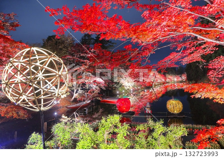 ライトアップされた紅葉 132723993