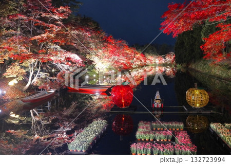 ライトアップされた紅葉 ライトアップされた紅葉 132723994